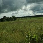 What to do if the area of ​​the land plot is larger than according to the documents?