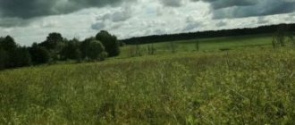 Что делать, если площадь земельного участка больше, чем по документам?