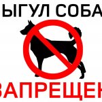 что значит выгул собак запрещен