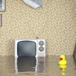 Voluntary apartment insurance