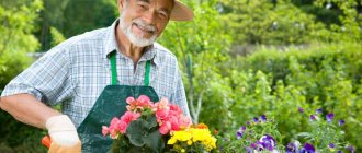 job description for a school janitor