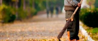 Дворник это кто