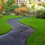 Фото: pixabay.com