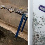 Как быстро и надолго убрать зловонных запах в подполье, погребе или подвале