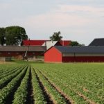 How to create private household plots? Where to begin? 