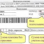 как узнать код плательщика