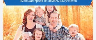 Категория лиц имеющая право на земельный участок