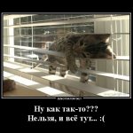 When you can’t rent out a mortgaged apartment