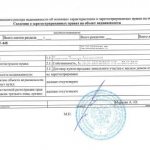 Образец выписки из ЕГРН