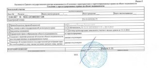 Образец выписки из ЕГРН