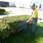 Обязанности дворника: нормы уборки территории для дворника, кто должен убирать возле магазина