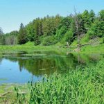 Осваиваем новый участок