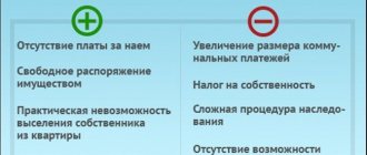 Плюсы и минусы приватизации