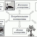 Consumer cooperative: What is it?