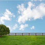 privatized land plot