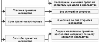 процедура вступления в наследство