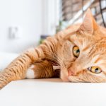 С третьего по седьмой