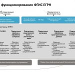 Схема работы ФГИС ЕГРН