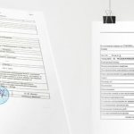 Выписка из ЕГРН - что это такое?