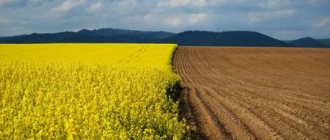 Agricultural land